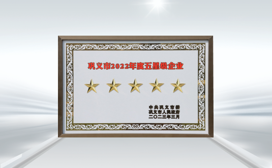 巩义市2022年度五星级企业